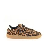 Kleur bruin