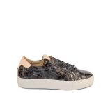 Kleur grijs
