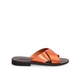 Kleur oranje