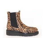 Kleur bruin